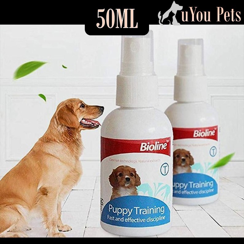 Bioline puppy training best sale