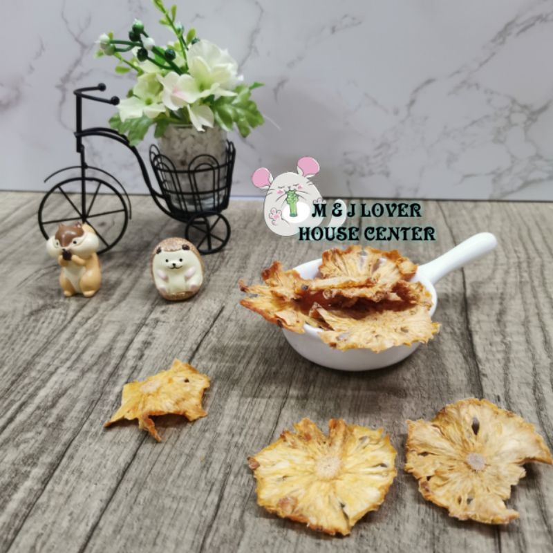 Fruit Dried Pineapple Slice 风干凤梨干 Snack for Chinchilla Guinea Pig