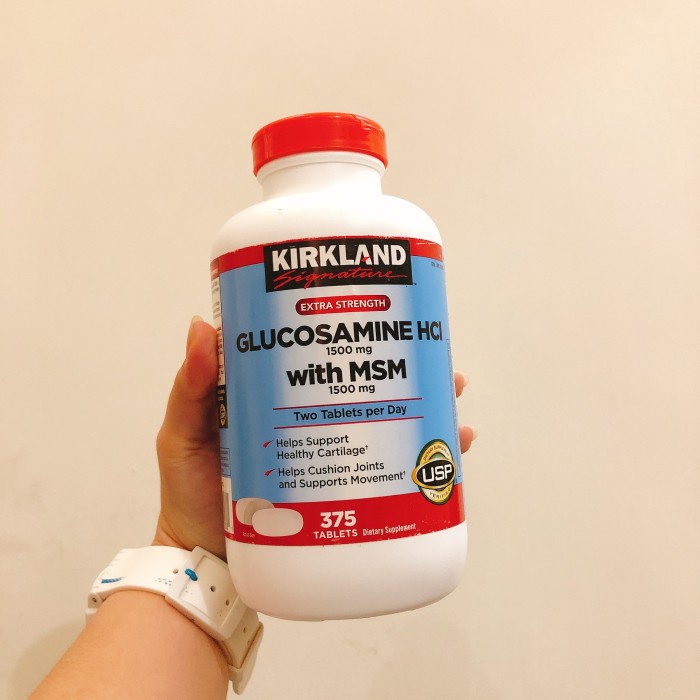Kirkland signature glucosamine with msm (375 tablets) Shopee Malaysia