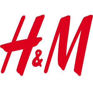 H&M Lace-detail Mesh Bustier Top