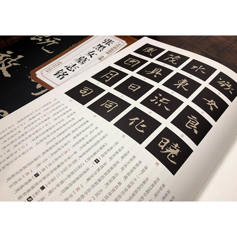 北魏张黑女墓志铭简体旁注附技法解析历代碑帖精粹书法书籍桃园一