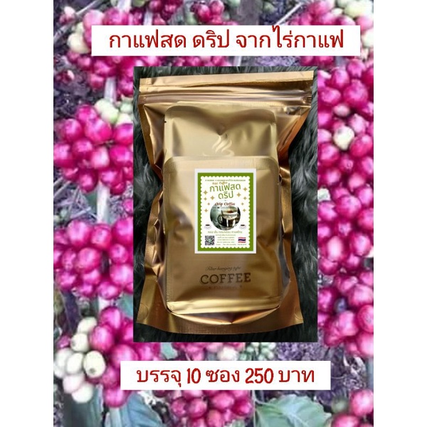 Fresh Drip Coffee Arabica (10 Sachets/Pack) Shopee Malaysia