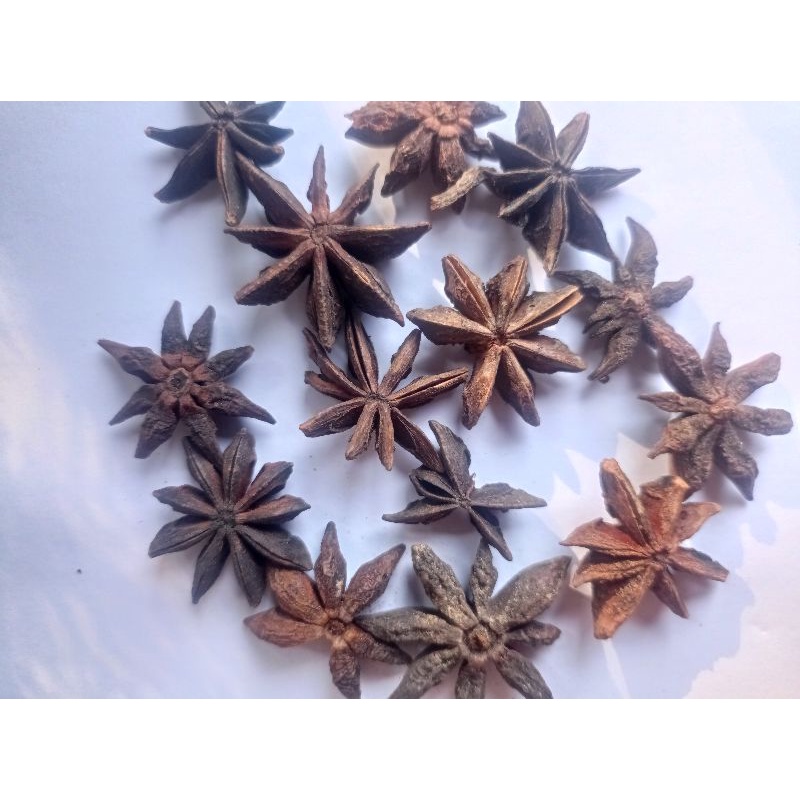 Flower Inspirational Flower Pekak | Shopee Malaysia