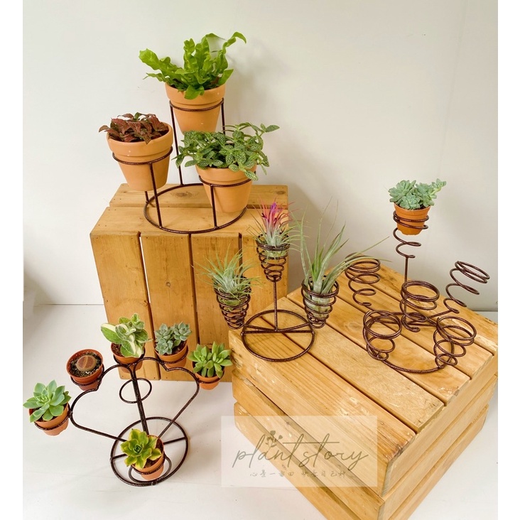 🌵Cactus rack🌵 Succulents rack🍀Tillandsia rack🍀🌸Flower rack🌸Ready stock🚚 ...