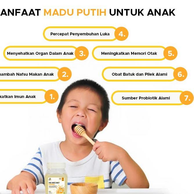 PUTIH Star Seller..!!Pure SUMBAWA Forest White Honey 1KG Snowbee PURE