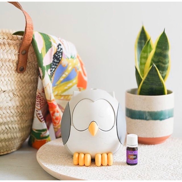 Young Living Owl Diffuser Shopee Malaysia