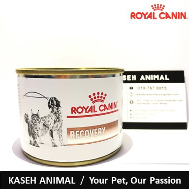 RECOVERY  Royal Canin MY