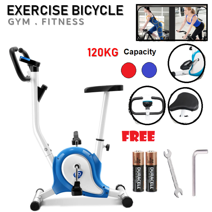 Lightweight stationary hot sale bike