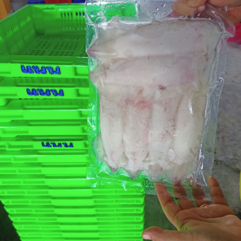 SunDried Egg Ink 300g Shopee Malaysia