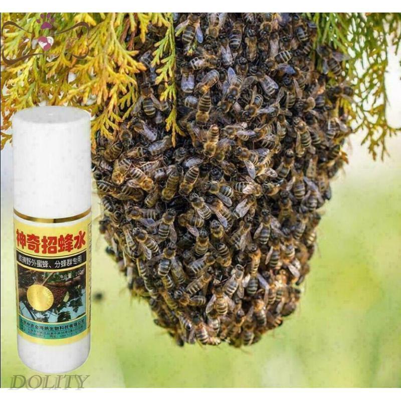 Honey Bee Trapping?!, How to use Lures and Attractants