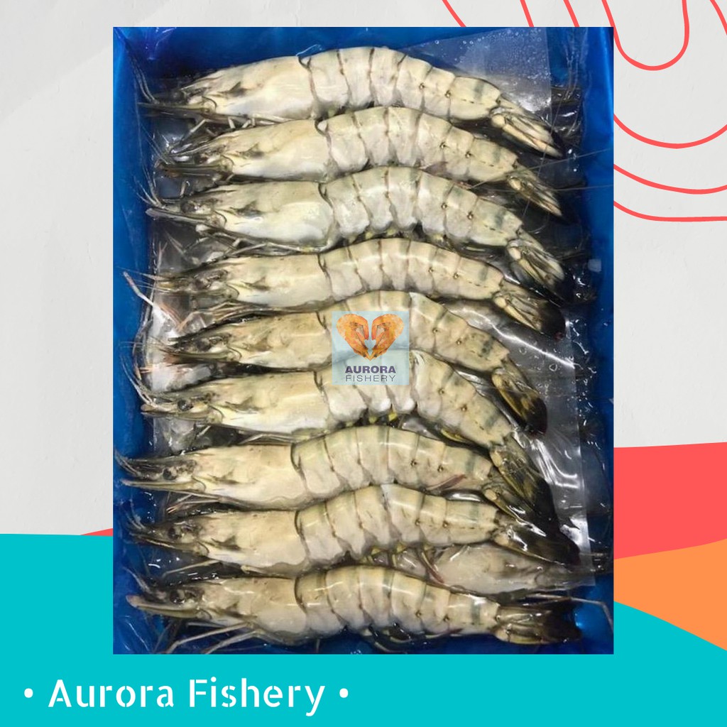 Black Tiger Prawn HOSO 16/20 草虾 16/20 | Shopee Malaysia