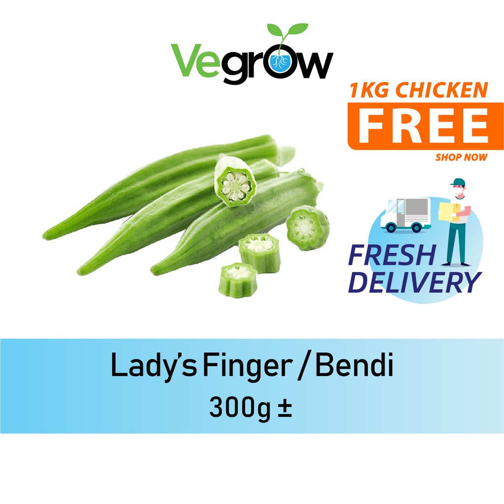 🔥FRESH 🔥Lady's Finger / Bendi 300g +- | Shopee Malaysia