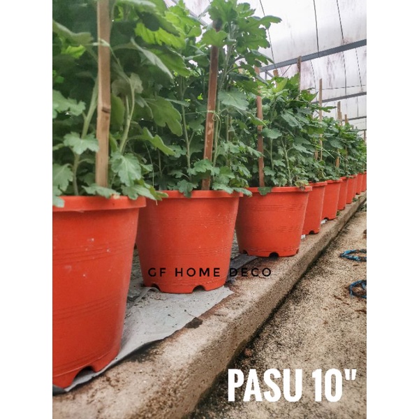 [GFE] DIAMETER 25CM PASU PLASTIC [10'' flower pot]/ VEGETABLE POT [2013 ...