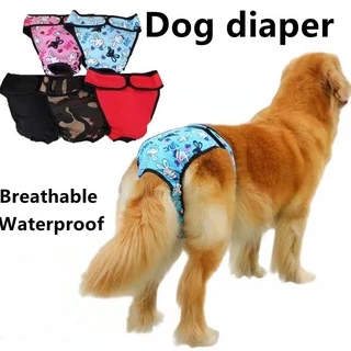 Buy diapers dog pants big Online With Best Price May 2024