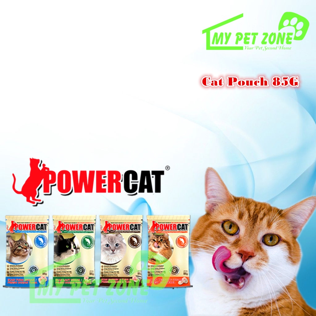 Power cat hotsell wet food