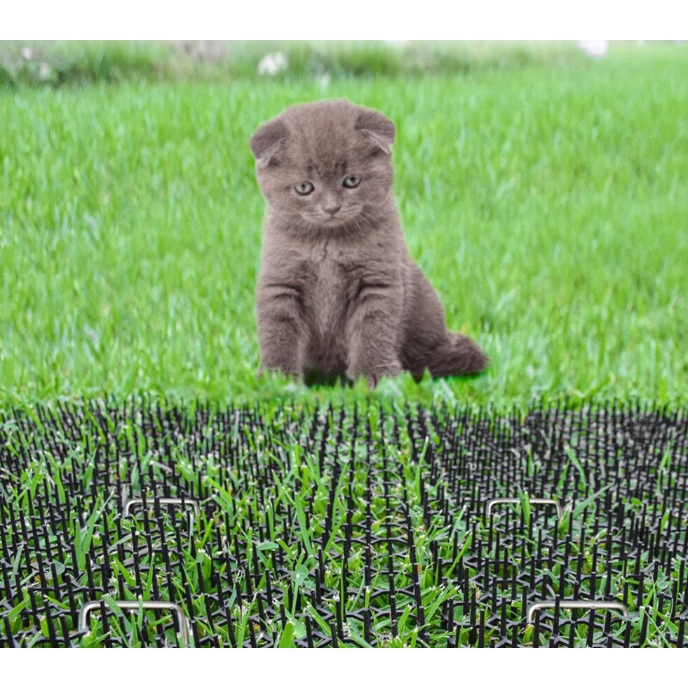 Carpet Berduri Plastik Kucing Cakar Tanah Pasu Bunga Repellent Mat Scat ...