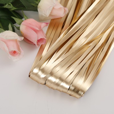 1*2m Rain Curtain Party Decor Background New Color Photo Booth Ribbon ...