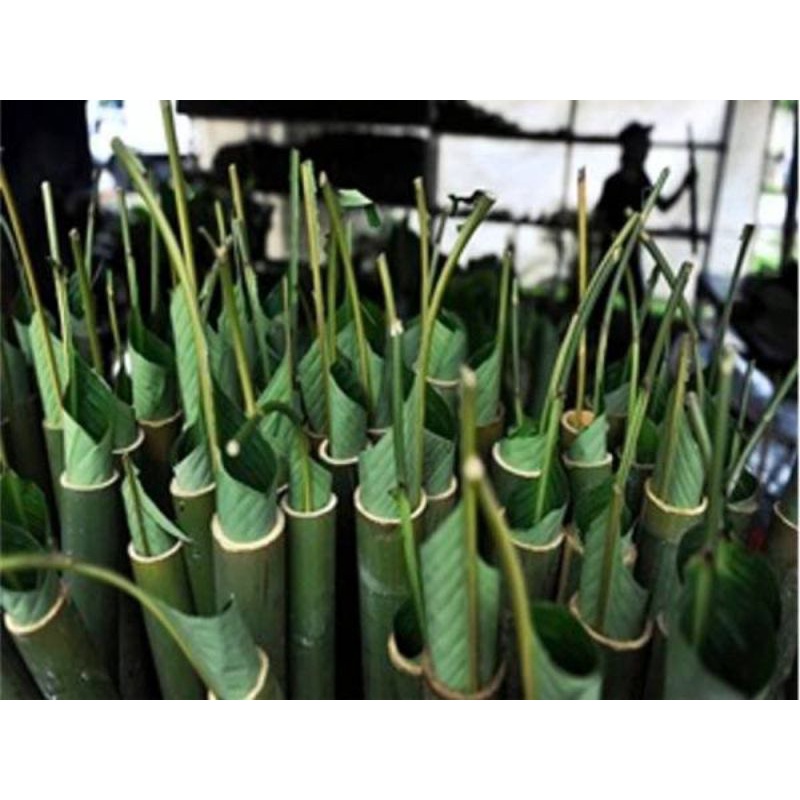 Daun lerek/lirik segar untuk balut lemang 10 helai | Shopee Malaysia