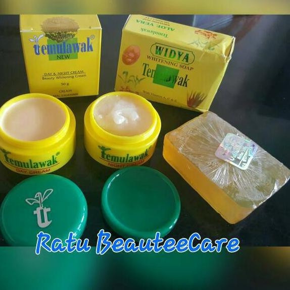 Original Temulawak Package (New Blink Blink Packaging) | Shopee Malaysia