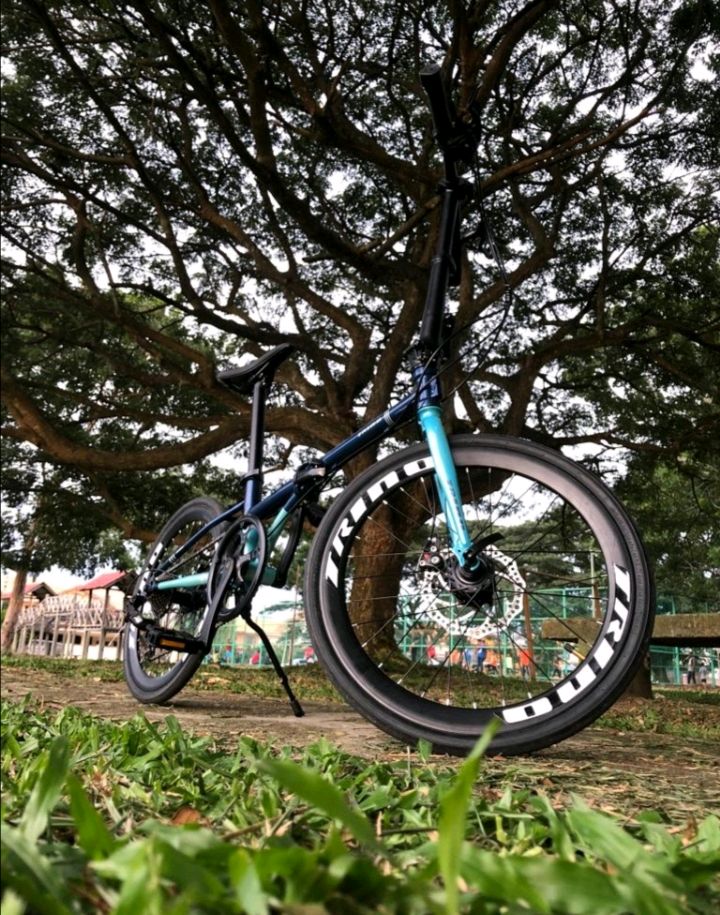 trino racer folding bike