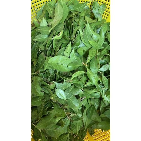 Daun Inai Organic Kampung Utk Rebus Mandi sesuai utk bayi Dan ibu ...