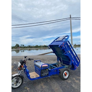 tailg e bike 3 wheel price