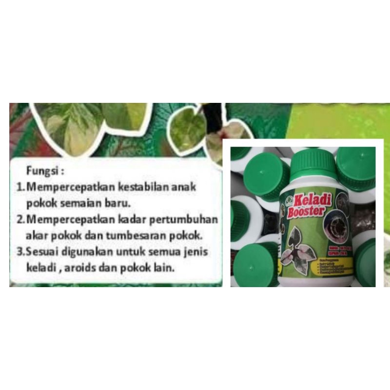 Baja Keladi Booster fertilizer penggalak akar root stabilizer | Shopee ...