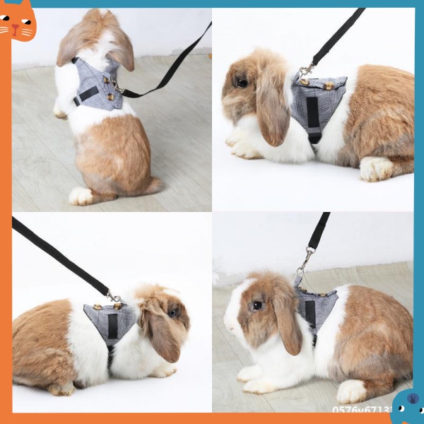 Pet Walking Rabbit Traction Rope Rabbit Anti Breakaway Suit Suit Vest ...