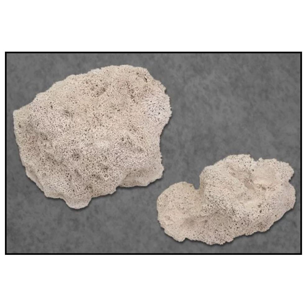 Marine Pure ROCK SMALL/MEDIUM | Shopee Malaysia