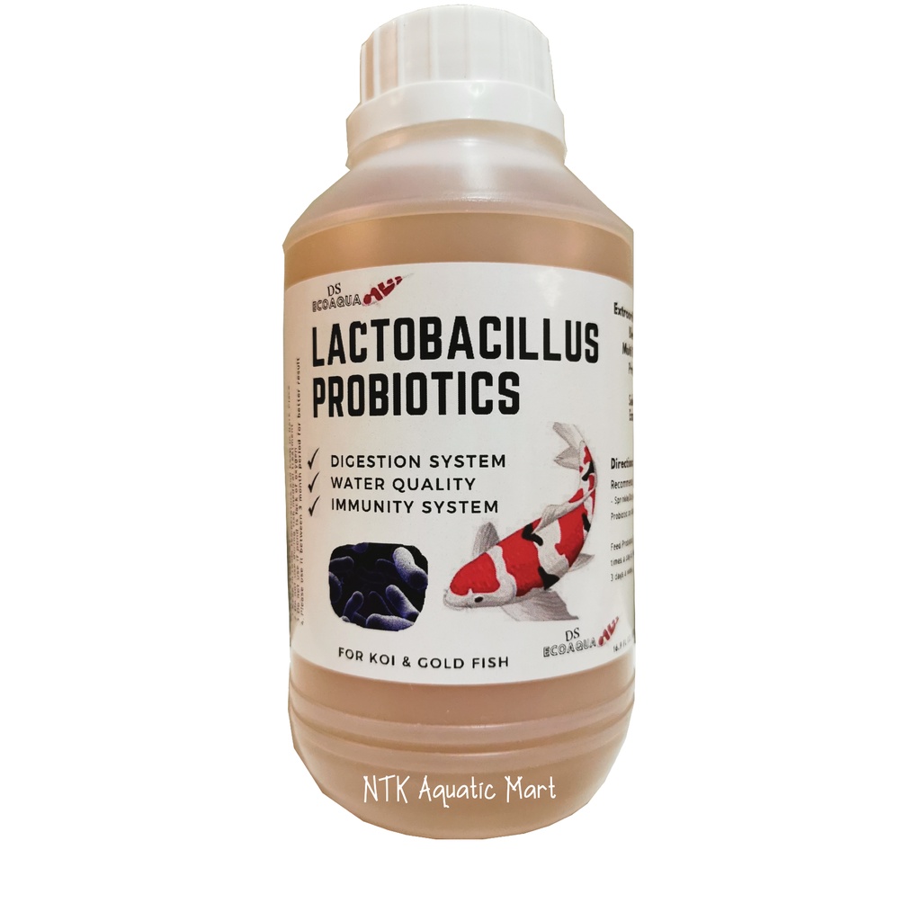 [PROBIOTIC | 500ml] Pure Lactobacillus Probiotics - improve digestion ...
