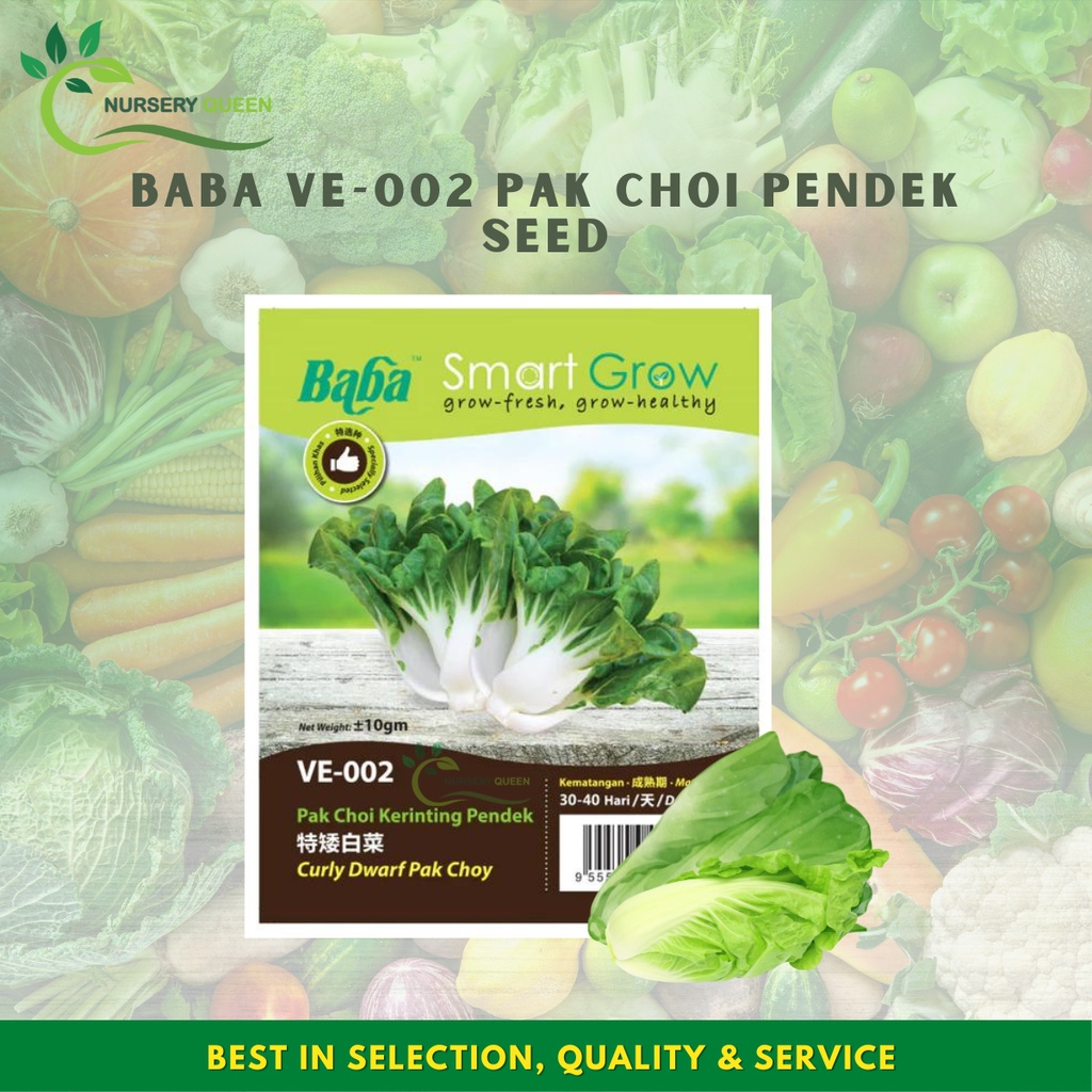 NK Baba Seed VE-002 Pak Choi Pendek Seed Smart Grow Vegetable Seed ...
