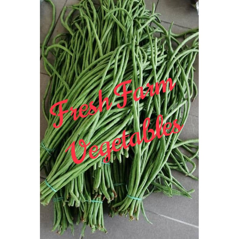 Long Beankacang Panjang 1kg Shopee Malaysia 3890