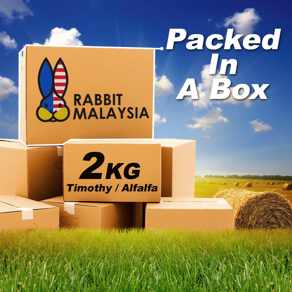 Timothy Hay Alfalfa Hay Orchard Hay 2KG Single Compressed Alfafa Hay ...