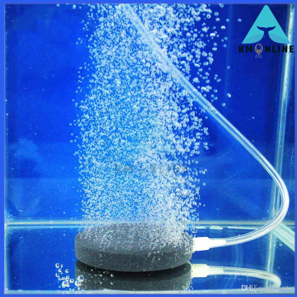 Bubble Stone Aerator Aquarium Fish Tank Pump Hydroponic Oxygen Shopee Malaysia