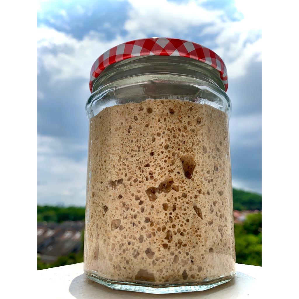 Organic Wholemeal Rye Sourdough Starter Full Instruction Shopee