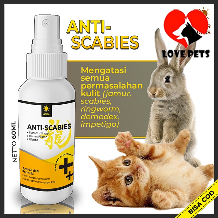 Antiscabies Cat Medicine Scabies Demodex Impetigo Mushroom Parasite