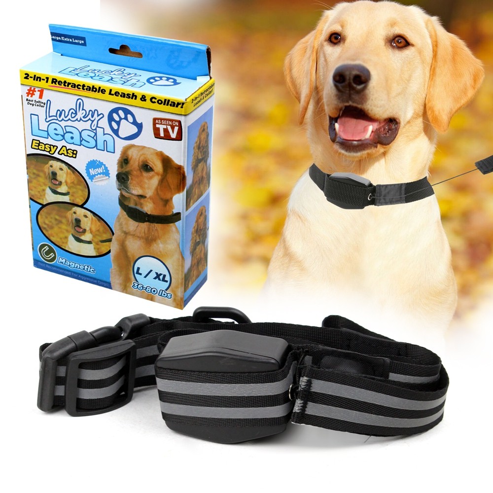 Lucky shops leash harness