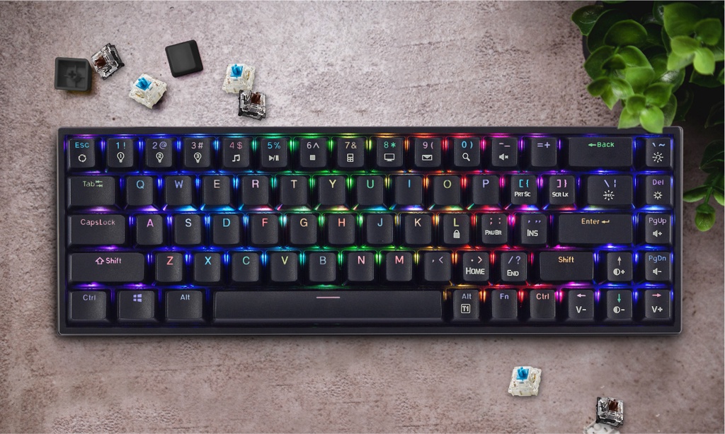 Prolink Desmodus RGB Mechanical Gaming Keyboard Anti-Ghosting ...