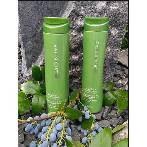 SATINIQUE 2 in 1 Shampoo & Conditioner (280ml) Shopee Malaysia