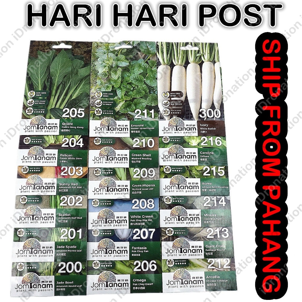 Clear Stock Jom Tanam B Biji Benih Vegetable Seed Sayur Bayam Merah