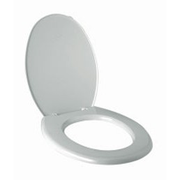 Techplas Light Duty PVC Toilet Seat Cover Bathroom Accessories Penutup ...