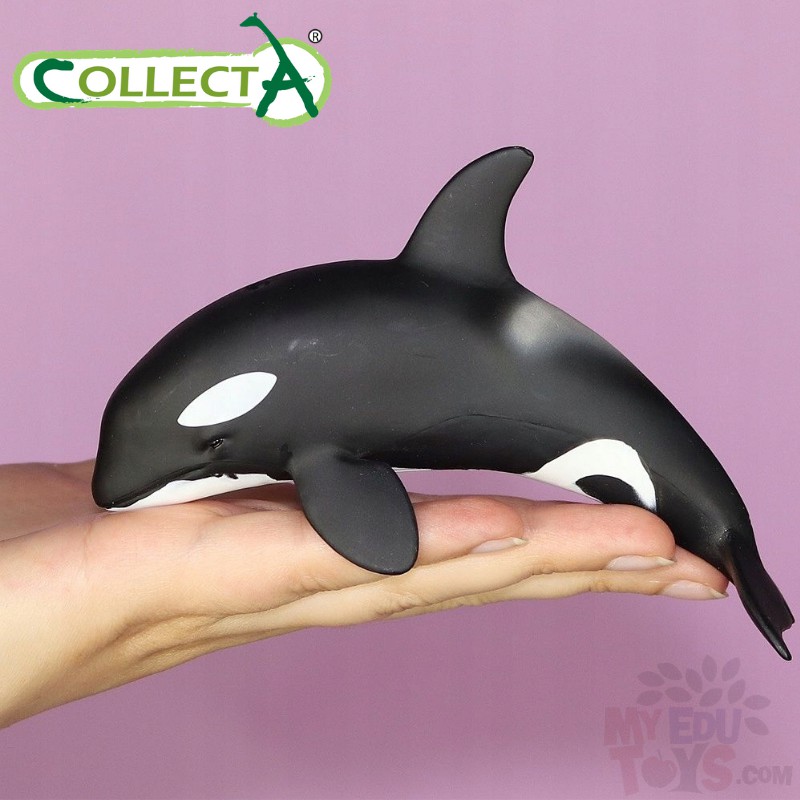 Orca Calf - Collecta 88618 Ocean Sea Life Animal Action Figures