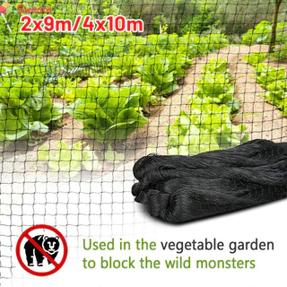 Extra Strong Anti Bird Net Garden Netting Mesh For Fruit Crop