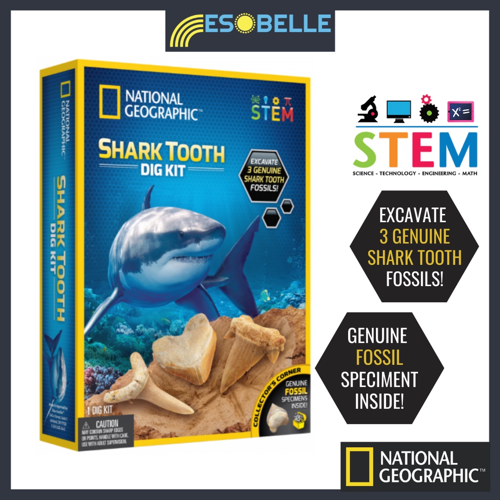 National Geographic Shark Tooth Dig Kit