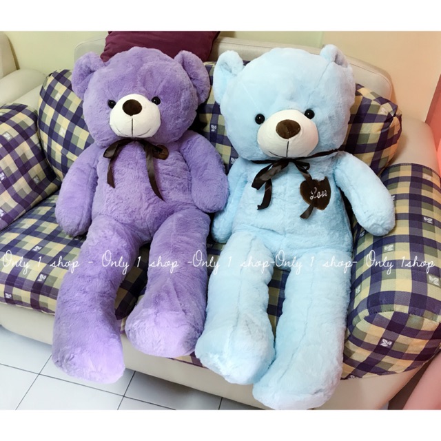 1.2 m teddy bear