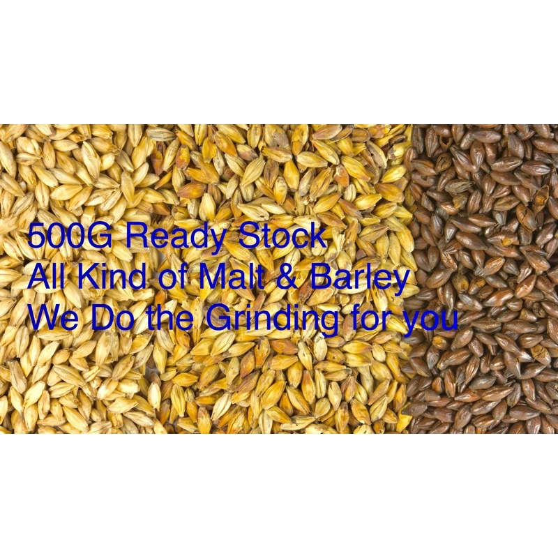 Homebrew 1000g puremalt Malt Barley diy beer brewing Pale Ale Pilsner