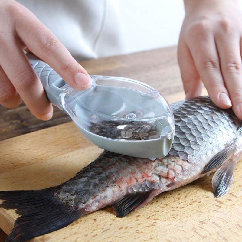 [ Local Ready Stocks ] Kitchen Tools Fish Scales Remover with Lid ...