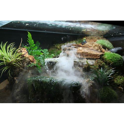 Mist hotsell maker aquarium