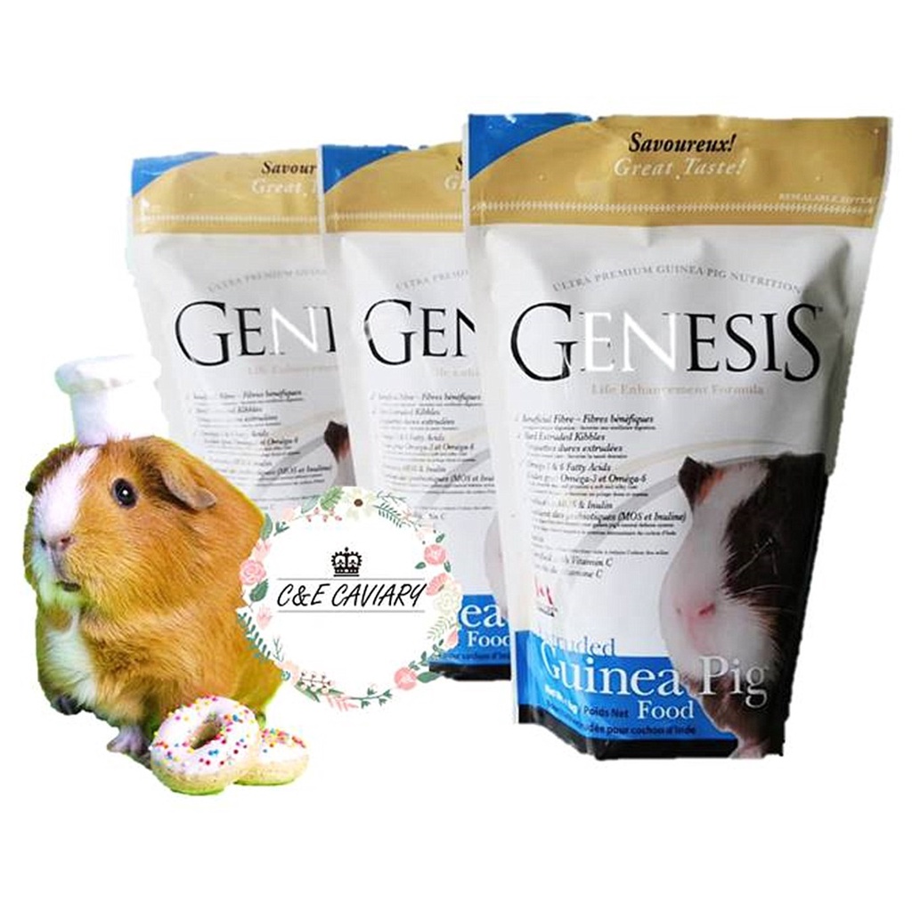 Genesis guinea pig clearance food