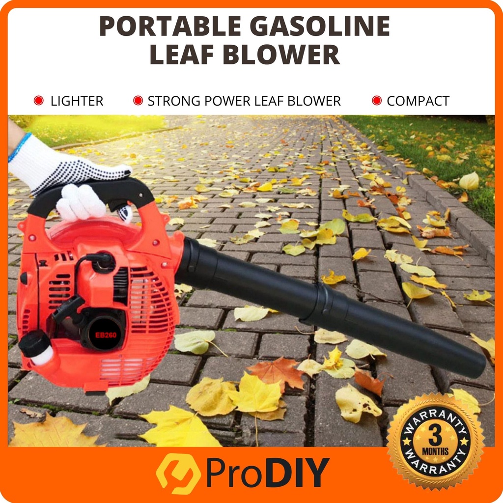 26cc Gasoline Leaf Blower Portable Mini Leaf Blower 0.75kw Durable Leaf  Blower - China Blower and Leaf Blower price